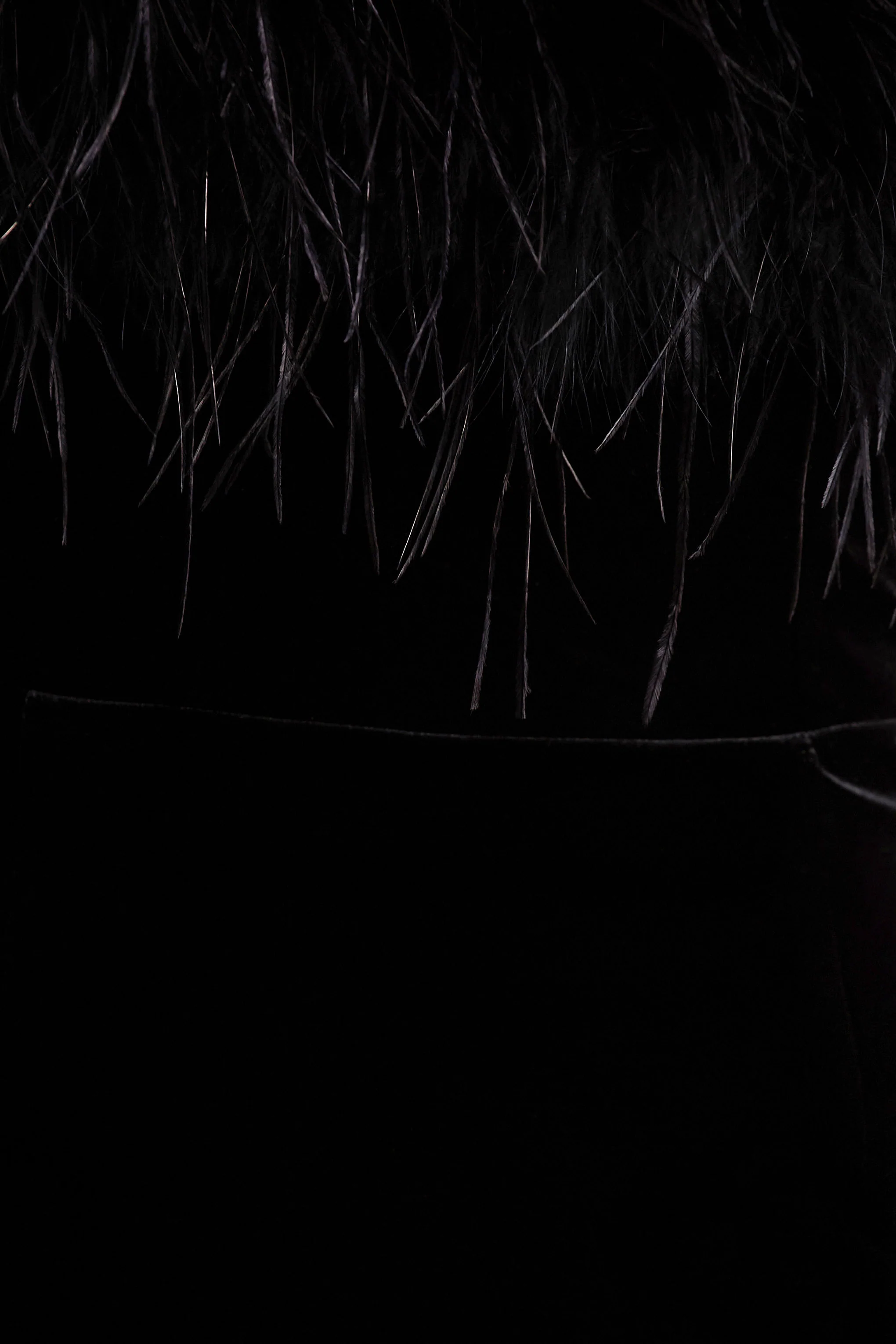 Arella | Black Velvet Bardot-Neck Maxi Dress With Feather Trim - Image 6